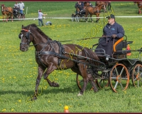 1POSIEUX 0318